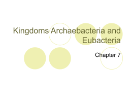 Kingdoms Archaebacteria and Eubacteria