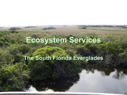 Ecosystem Services - Broward County Public Schools