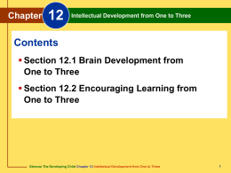 Chapter 12 Intellectual Development from One to Three