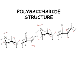 Introduction to Polysaccharides