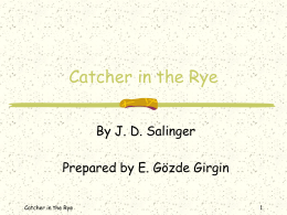 Catcher in the rye plot