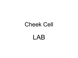 Unit 7 Cheek Cell Lab