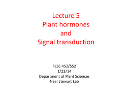 Plant Hormones and Signal Transduction