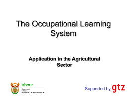 Development of occupational qualifications