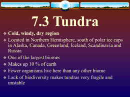 7.3 Tundra