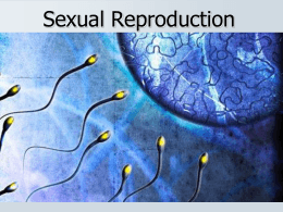 Sexual Reproduction - ABC-MissAngelochsBiologyClass
