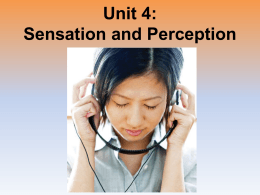 Unit 04 Sensation and
