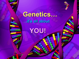 ppt-Genetics