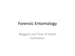 Introduction to Forensic Entomology