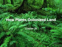 29 Origin of Plants