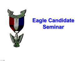 Troop 389 Eagle Candidate Seminar