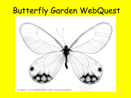 Butterfly Garden WebQuest