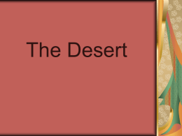 Desert Powerpoint Template