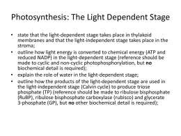 Photosynthesis: The Light Dependent Stage