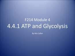 F214 Module 4 4.4.1 Respiration