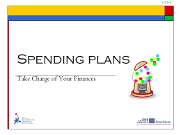 Spending plan/Budget