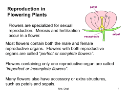 Flowering Plant Reproduction