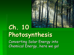 Ch. 10 - Photosynthesis