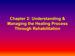 Chapter 2: Understanding the Healing Process Through