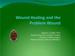 The Principles of Wound Healing