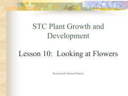 STC Plant Growth and Development Lesson 10: Looking at Flowers
