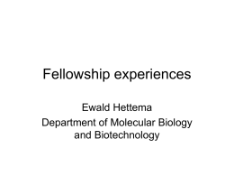 Fellowship experiences - University of Sheffield