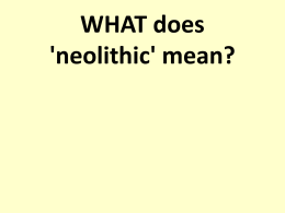 WHAT does `neolithic` mean?