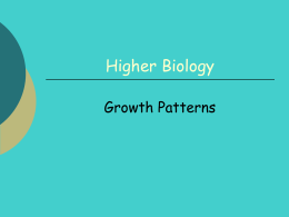 Growth Patterns