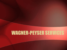 wagner-peyser services - Department of Economic Opportunity