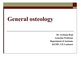 General Osteology
