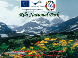 Rila National Park