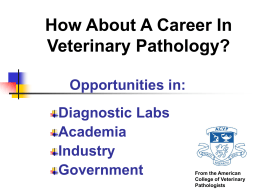 Careers in Academia - American College of Veterinary Pathologists