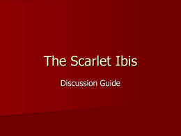 The Scarlet Ibis - Tech Learning 2.0