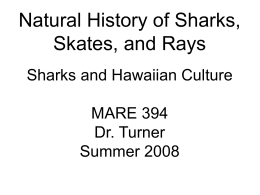 Hawaiian words for sharks