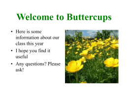 Welcome to Daffodils