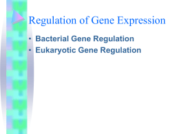 Control of Gene Express in Prokaryotes