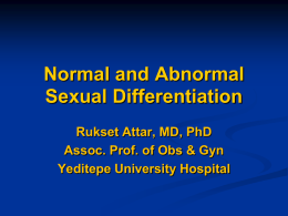 Normal and Abnormal Sexual Development
