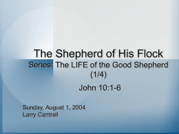 The Shepherd of His Flock Series: The LIFE of the Good Shepherd