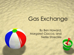 Gas Exchange - ilovebiology