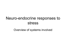biology of the stress response