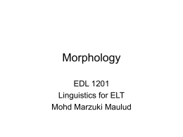 Morphology - Emmy Nadia : A Teacher E