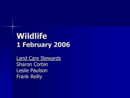 Wildlife 1 February 2006 - Advanced Master Gardener