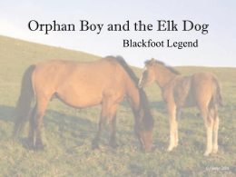 Orphan Boy and Elk Dog