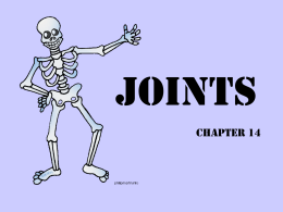 Joints - afoster