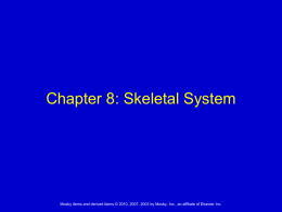 Anatomy Ch 8 Skeletal System