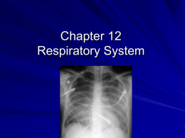 File - Respiratory Therapy Files