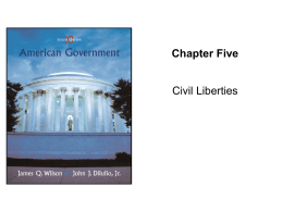 American Government, Chapter 5