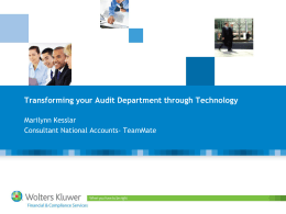 Areas of Efficiency in Audit Reporting