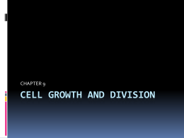 CELL GROWTH AND DIVISION