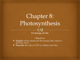 Chapter 8 Section 1 Energy and Life PowerPoint
